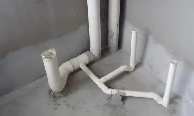 金旗舰 金旗舰