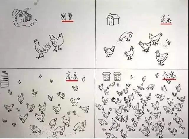 金旗舰